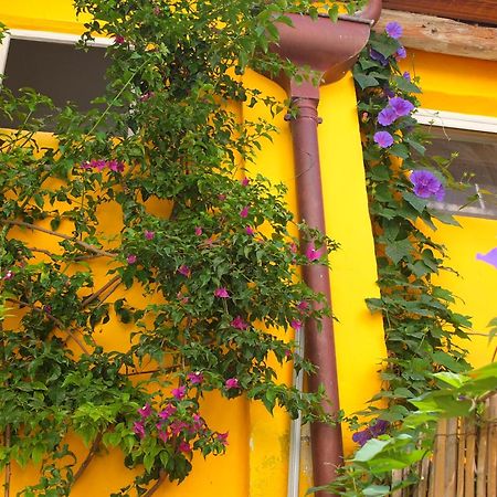La Maison Jaune Sète Habitación foto