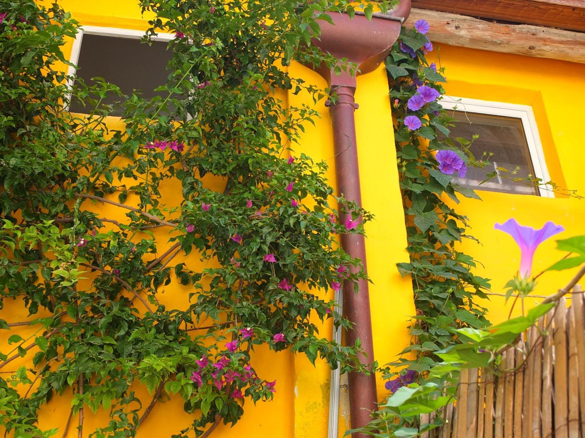 La Maison Jaune Sète Habitación foto